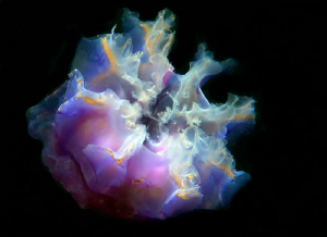 Beauty in the dark by Lucie Drlikova 